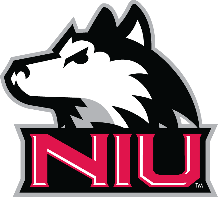 Northern Illinois Huskies 2001-Pres Alternate Logo v5 diy fabric transfer